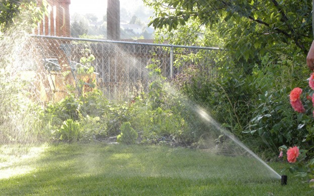Missoula Lawn Watering Tips
